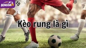Giải mã kèo rung – Hướng dẫn soi kèo trực tiếp cho tân thủ