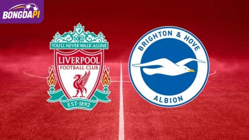 Soi kèo Liverpool Vs Brighton & Hove Albion 21h00 25/10, NHA